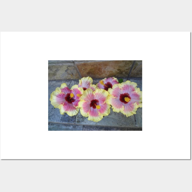 Hibiscus Beauties Wall Art by jennyleeandjim